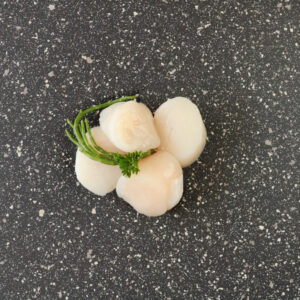 Coquilles - Afbeelding 1